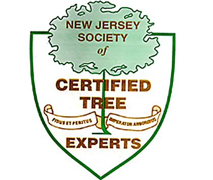 NJ Certified Tree Experts Logo