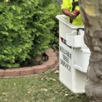 tree trimming in Cliffside Park, NJ