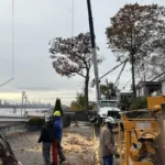 clearing debris after storm