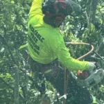 reliable-tree-service-18