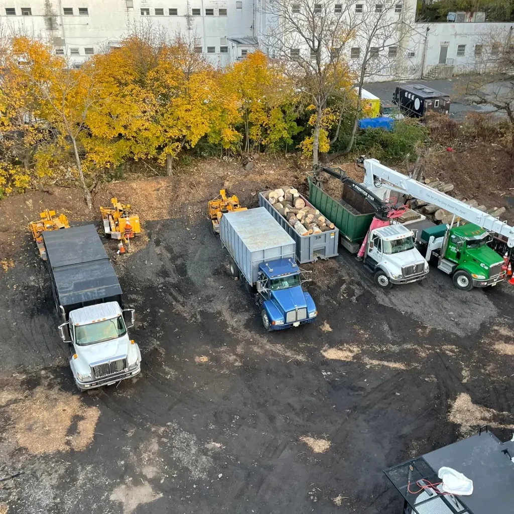 land clearing in New Jersey