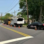 emergency tree service