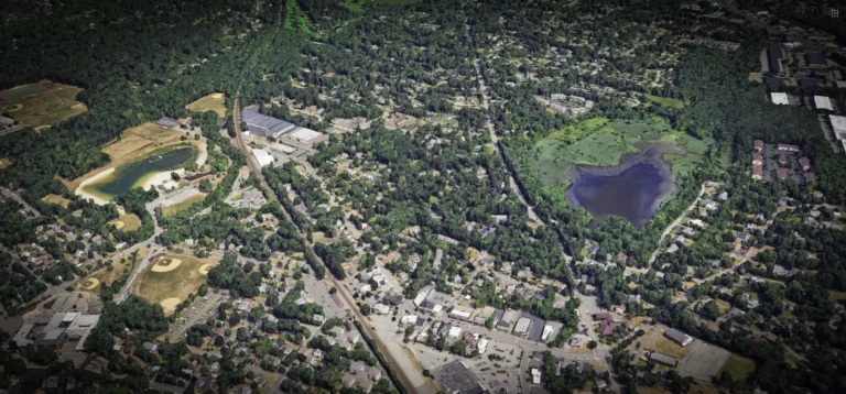 Allendale Tree Service