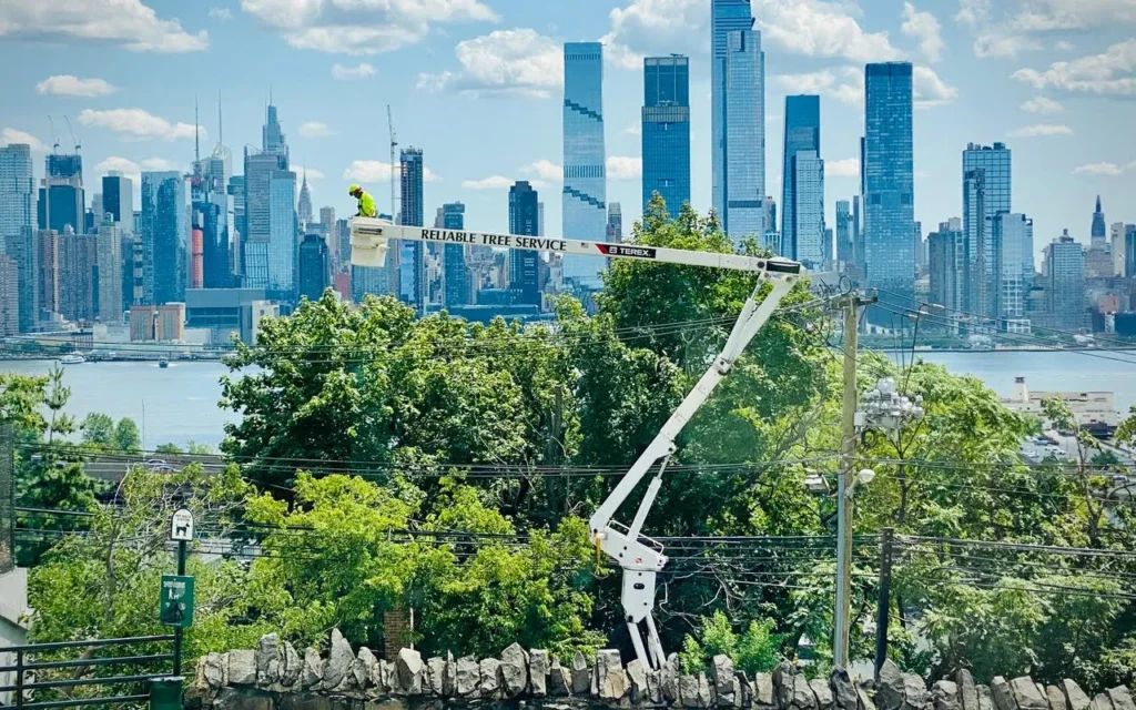 tree trimming with crane