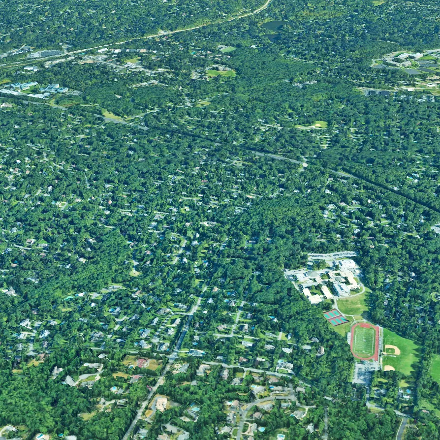 Tree Service Near Me