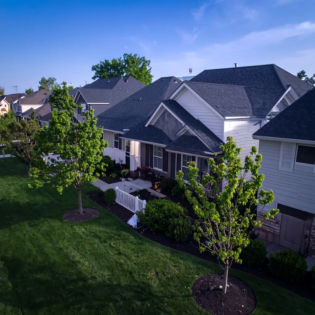 Spring Tree Service