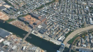 Tree Removal and Health Care in East Newark