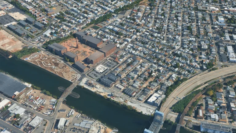 Tree Removal and Health Care in East Newark