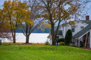 Mature maples in yellow autumn color beside a white house and a lawn, the kind of trees that need tree storm proofing in Ramsey