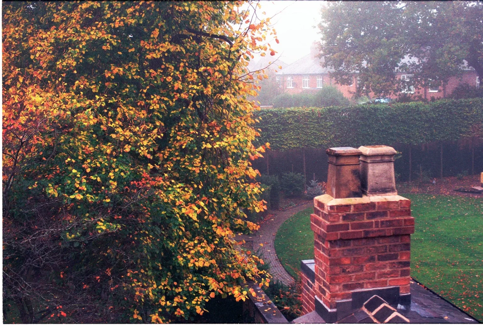 A tree in orange and yellow autumn leaves growing beside a brick chimney and a garden lawn on a misty morning