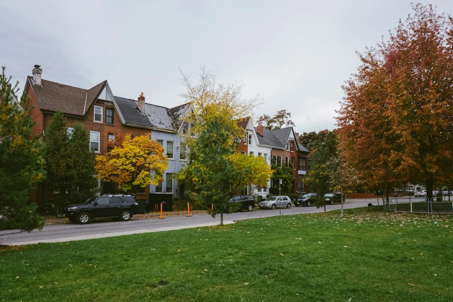 Autumn maples and street trees beside brick row houses, the kind of setting where stump grinding in Hackensack comes up