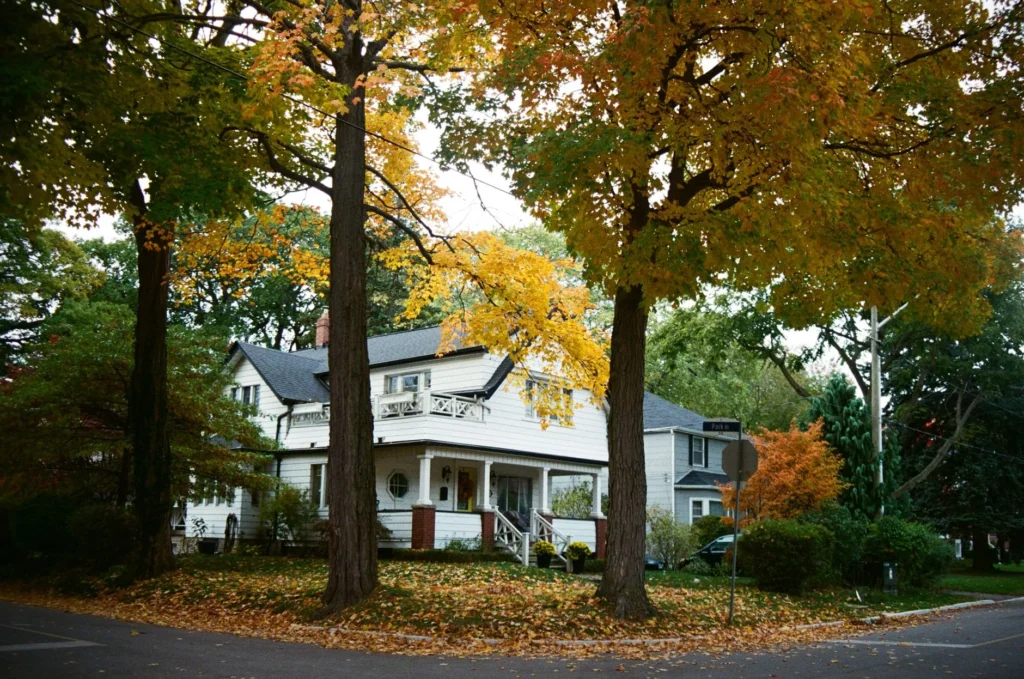 Tall maples in yellow and green fall color in front of a white house with a porch, the kind of setting where storm repair in Ridgefield Park may be needed