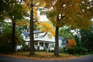 Tall maples in yellow and green fall color in front of a white house with a porch, the kind of setting where storm repair in Ridgefield Park may be needed
