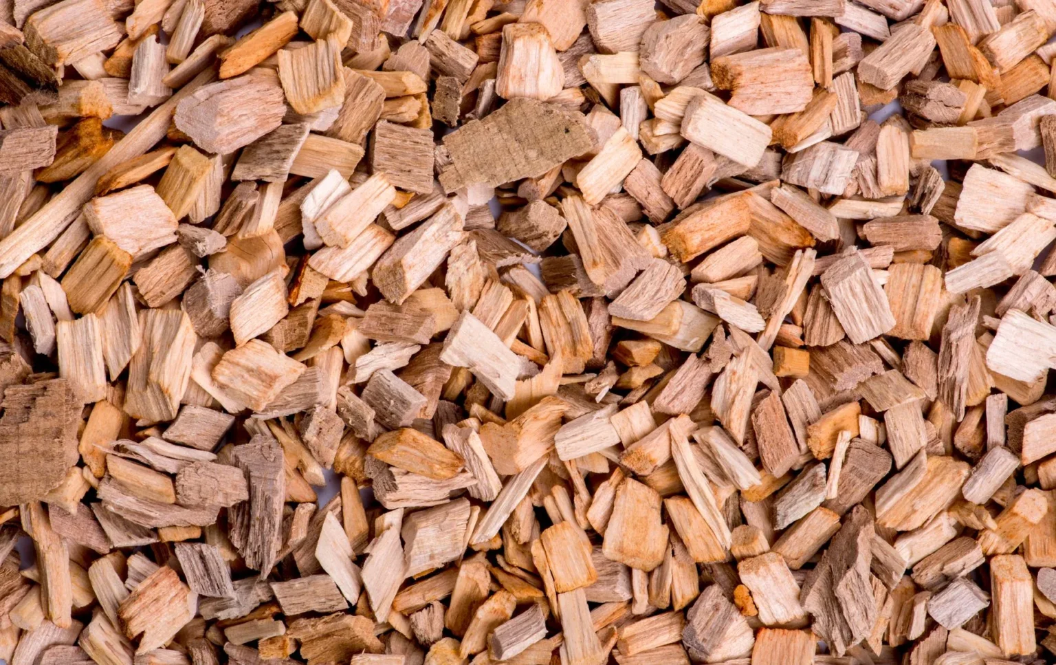 A close view of light brown wood chips of many sizes, like the grindings left behind after stump grinding